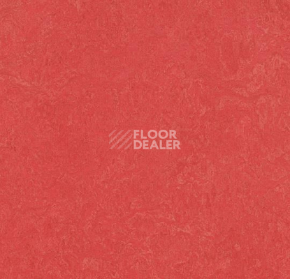 Линолеум Forbo Marmoleum Marbled Fresco 3263-326335 rose фото 1 | FLOORDEALER